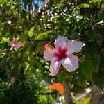 #232 Vila Girasol 33 By Home Holidays